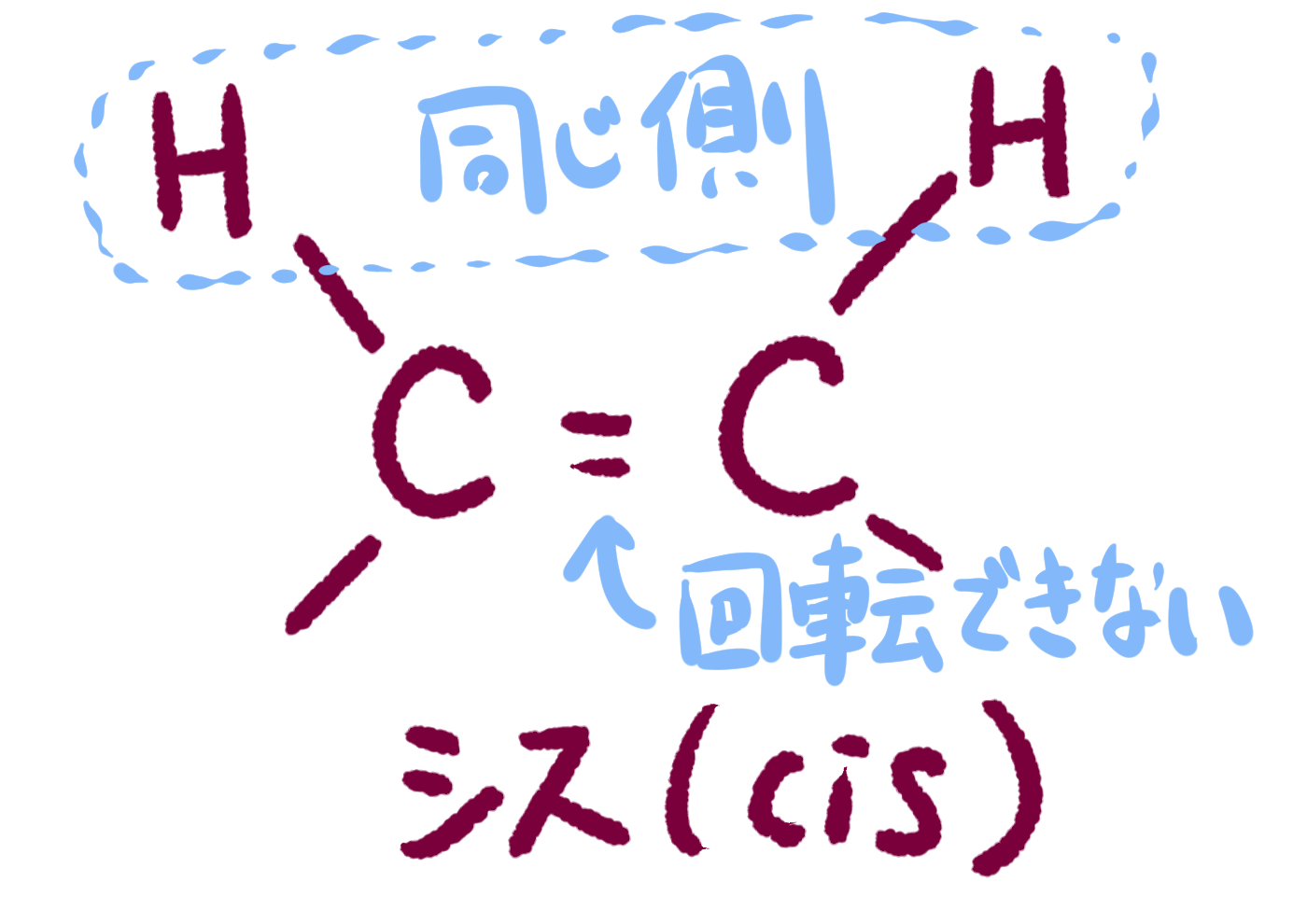 2021 高校化学 シス トランス の意味 違い 語源は トランス脂肪酸 トランスジェンダーの意味は 暇で貧乏でインキャな日本人の挑戦