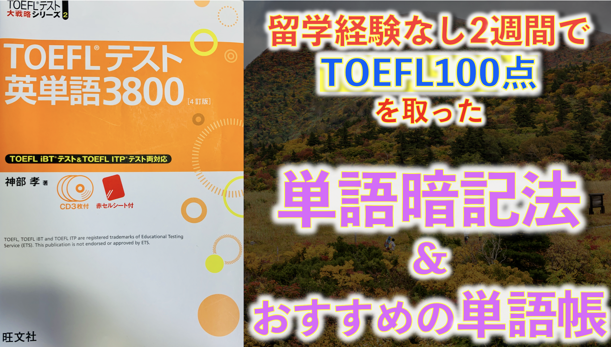 100点獲得者が語る Toefl Ibt対策 勉強法 おすすめ公式参考書 初心者でも３ヶ月で60点が取れる 21 暇で貧乏でインキャな日本人の挑戦